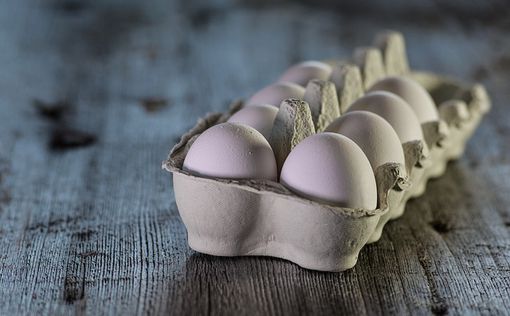 Антимонопольный комитет удивился и занялся ценами на яйца