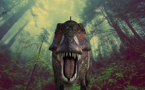 Под Житомиром нашли уникального динозавра