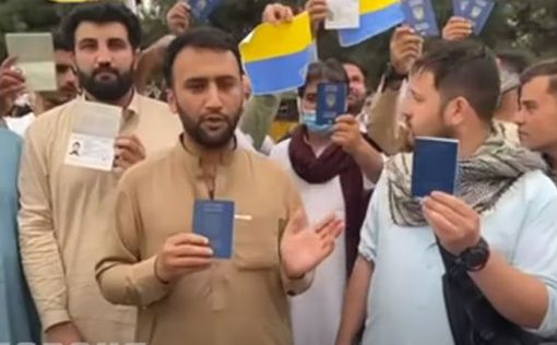 Украинцы в Кабуле записали видеообращение Зеленскому