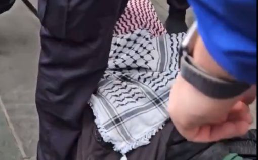 В Нью-Йорке стали арестовывать сторонников “Палестины”