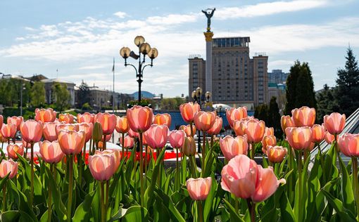 Цього року в Києві висадять мільйони різних квітів