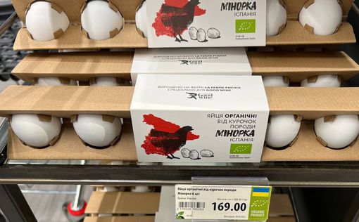 Фото дня. Магазины Киева продают яйца по 281 грн.