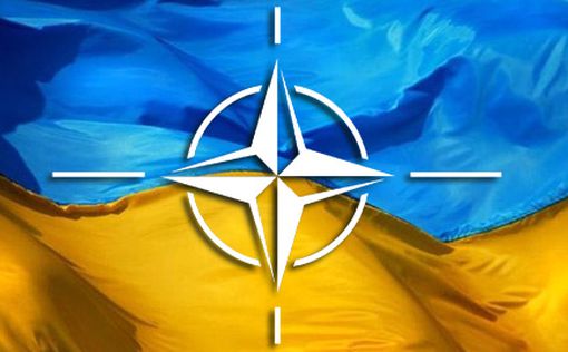 Украина начнет диалог с НАТО о присоединении к ПДЧ
