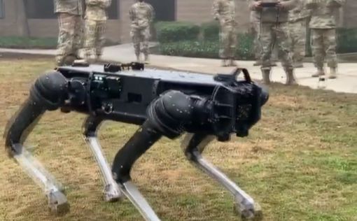 Видео: американские военные тестируют робота-собаку на базе в Калифорнии