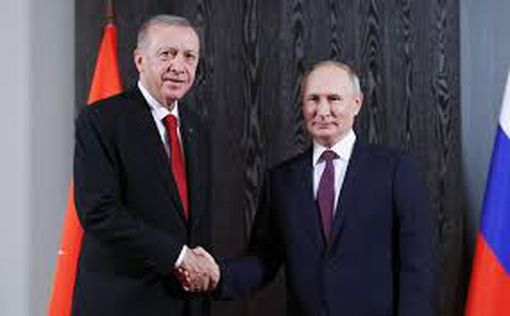 Стало известно, о чем говорили Путин и Эрдоган