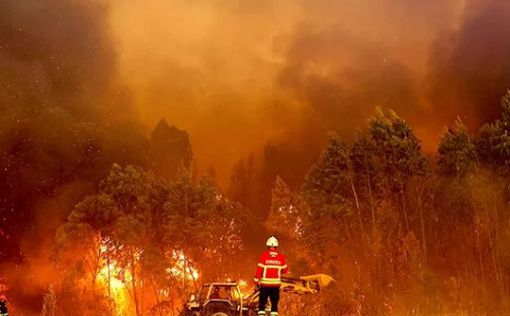 Лісова пожежа у Геленджику поширилася на 118 гектарів, – відео