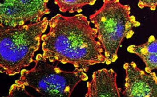 Знайдено ген ракових клітин