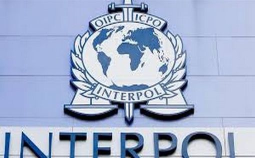 Операция Интерпола: перехвачены активы интернет-мошенников на сумму $130 млн