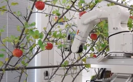 В Японии придумали робота-фермера