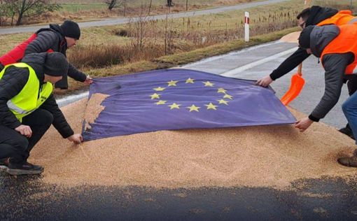 ​​​​​​​Зерновой скандал: что делает Польша и как реагирует Украина