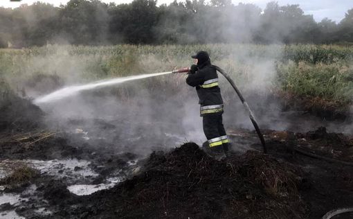 Киевская область задыхается в дыму – ситуация под контролем