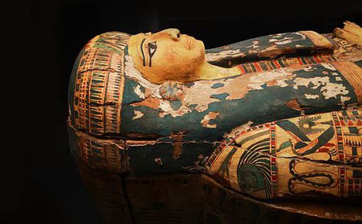 В Египте показали сокровищницу недавно обнаруженных древних артефактов