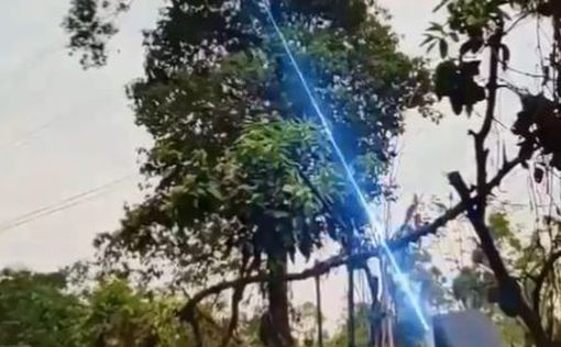 В Китае деревья пилят лазером: видео
