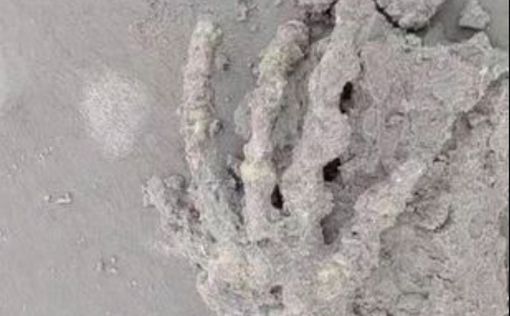 В Бразилии нашли кости руки "инопланетянина" — ученый идентифицировал находку