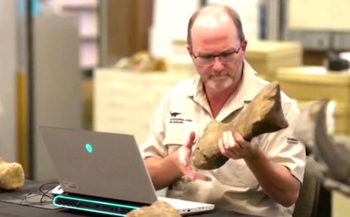 В Австралии найден гигантский динозавр нового вида
