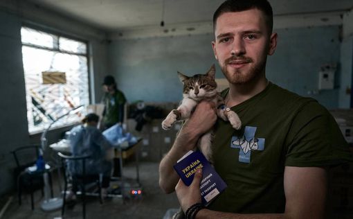 Ветеринари-волонтери з Києва рятують тварин на фронті - фото