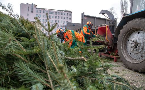 В Киеве началась утилизация новогодних деревьев