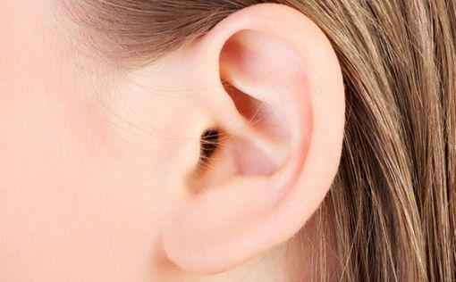 Израильские ученые "вырастили" человеческое ухо