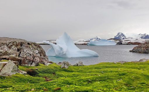 На научной станции зафиксирована самая высокая температура в истории | Фото: Національний антарктичний науковий центр