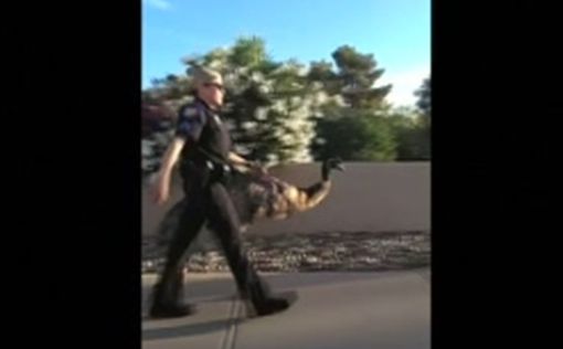Полицейские в США прогулялись со страусом
