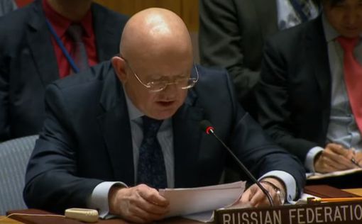 Представитель России сбежал с заседания Совбеза ООН из-за украинского спикера