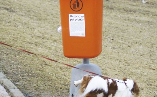 На улицах Чехии появились писсуары для собак. Фото | Фото: twitter
