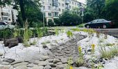 Прогулка по Киеву: F-16 среди парка, дождевые сады и озеро цветущих нимфей. Фото | Фото 7