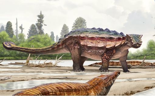 Археологи открыли ранее неизвестный вид динозавра
