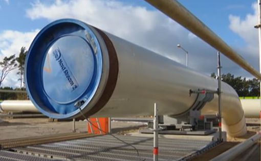 США не помешают достройке Nord Stream 2, - Майкл Бреннер