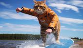 Хочу быть котиком: нейросеть показала котов в отпуске. Фото | Фото 7