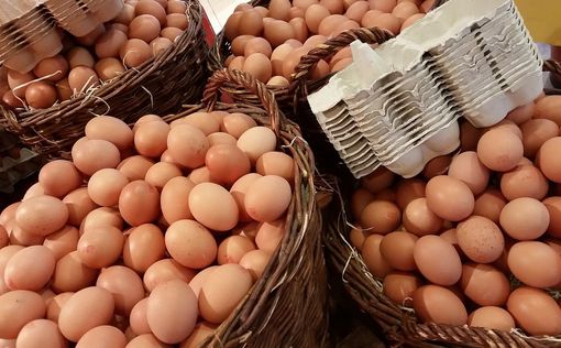 ЕС вернул пошлины на украинские яйца и сахар | Фото: pixabay.com