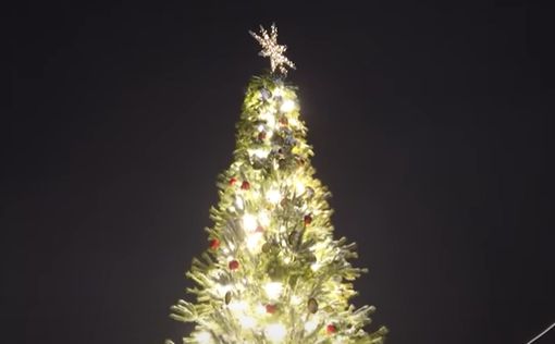 КГГА: Главную елку страны украсят в стиле ночи перед Рождеством