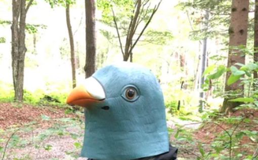 Японець цілий рік маскувався під гігантського птаха: навіщо він це робив | Фото: twitter.com/toshitaka_szk