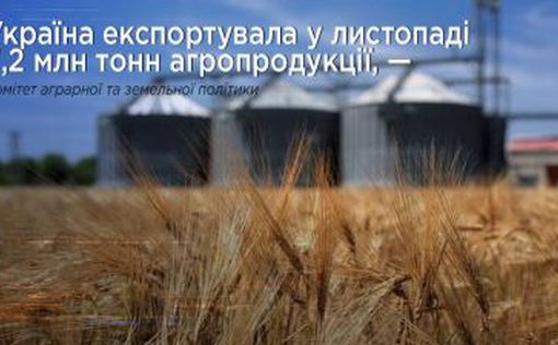 Украина экспортировала в ноябре 7,2 млн. тонн агропродукции