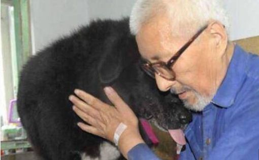 Пожилой китаец решил оставить все свои деньги собаке