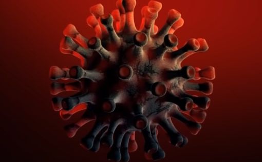В Украине выявлен мутировавший коронавирус из Британии