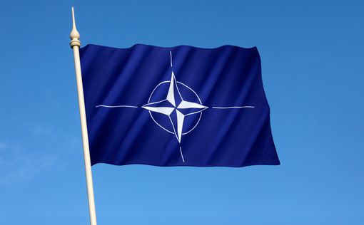 Из-за политики Трампа НАТО откладывает переговоры с Украиной