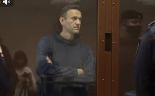 Христо Грозев: Навальный должен был вернуться в политику на белом коне
