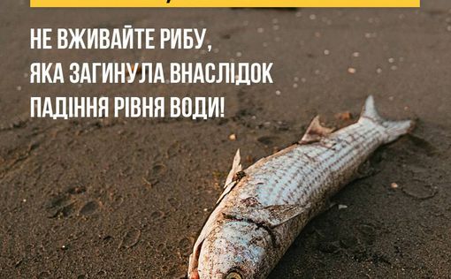 Украинцев предупреждают о ботулизме из-за массового мора рыбы | Фото: Минздрав Украины
