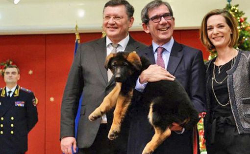 Подаренного Франции российского пса Добрыню забраковали