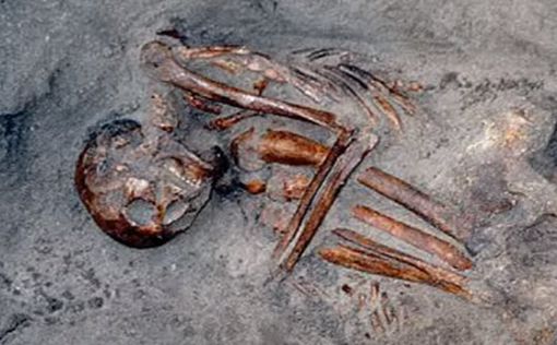 В Шотландии нашли необычных мумий