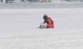 Сильні морози приморожують до льоду і птахів, і людей. Фото, відео | Фото 5