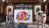Картины свиньи-художницы Пигкассо продали за $1 млн. Фото, видео | Фото 24