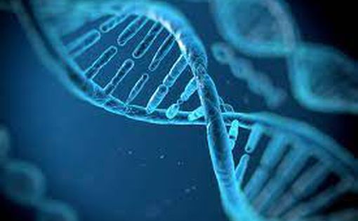 Израильские ученые повысили точность ДНК-ножниц