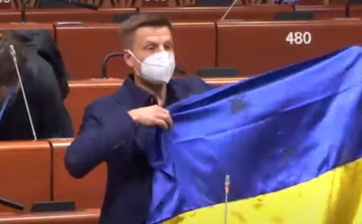 Украинского нардепа Гончаренко лишили слова в ПАСЕ