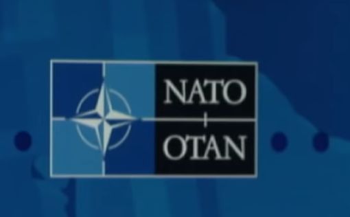 Трамп нашел диктаторов среди лидеров НАТО