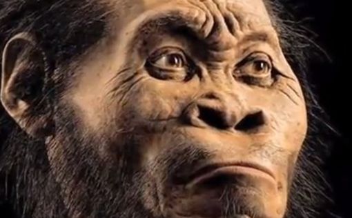 Обнаружены неандертальцы, украшавшие свои пещеры гигантскими черепами