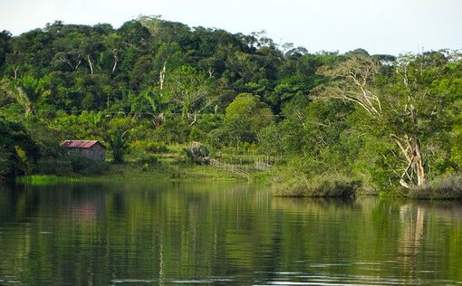 В Амазонке нашли тело британского журналиста