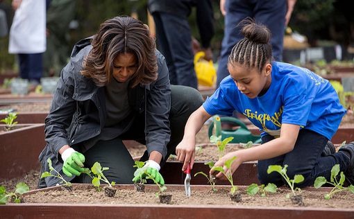 Мелания Трамп сохранит огород Мишель Обамы