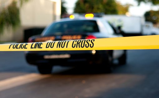 Неизвестный водитель убил шестерых в Мичигане